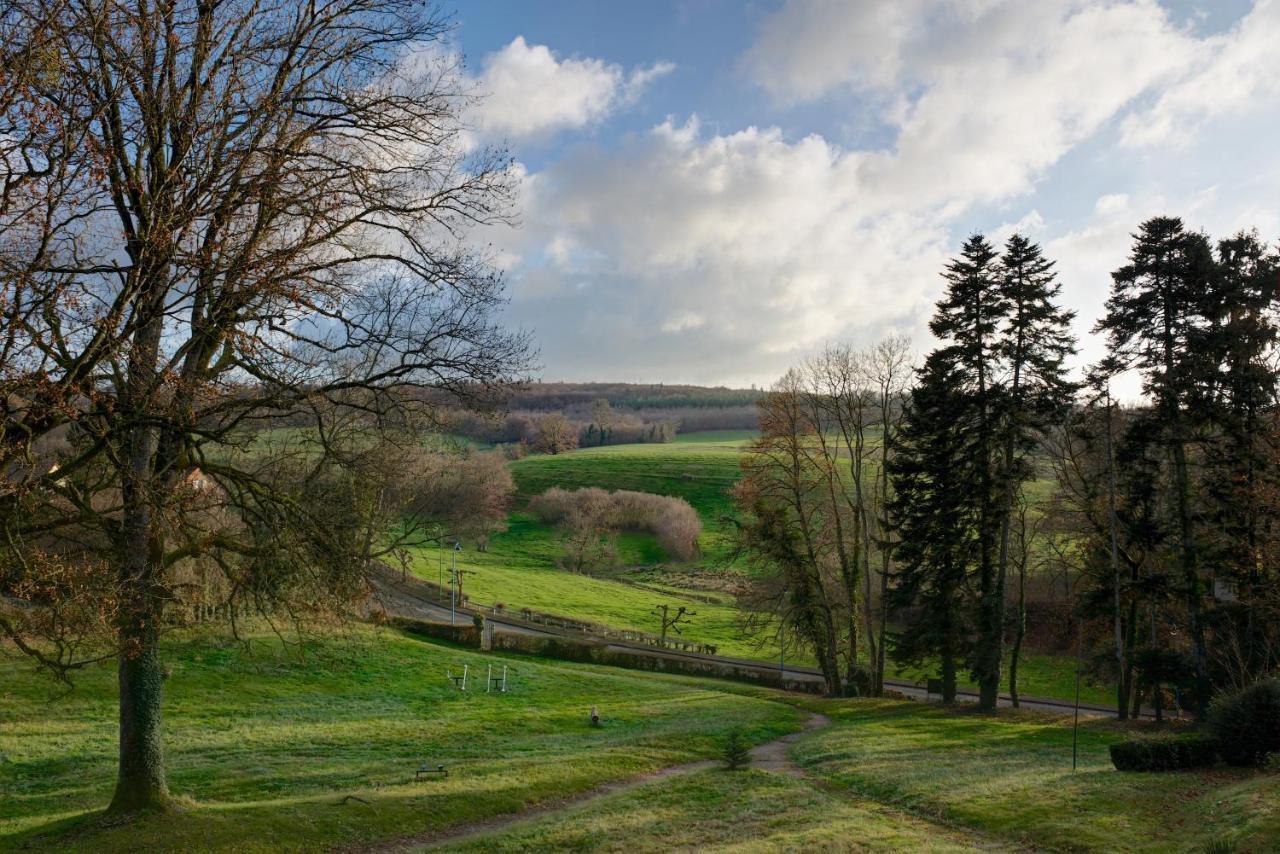 Domaine Des Myosotis, Chambres D'Hotes Saint-Honoré Esterno foto